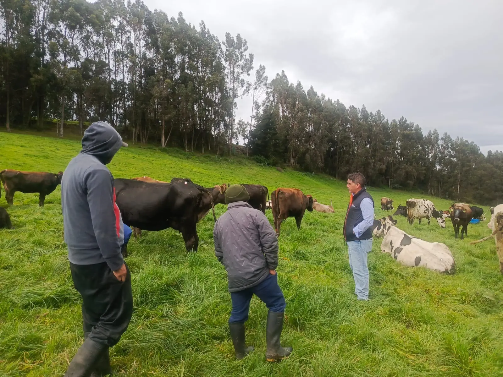 Visita de campo con ganaderos junto al hato