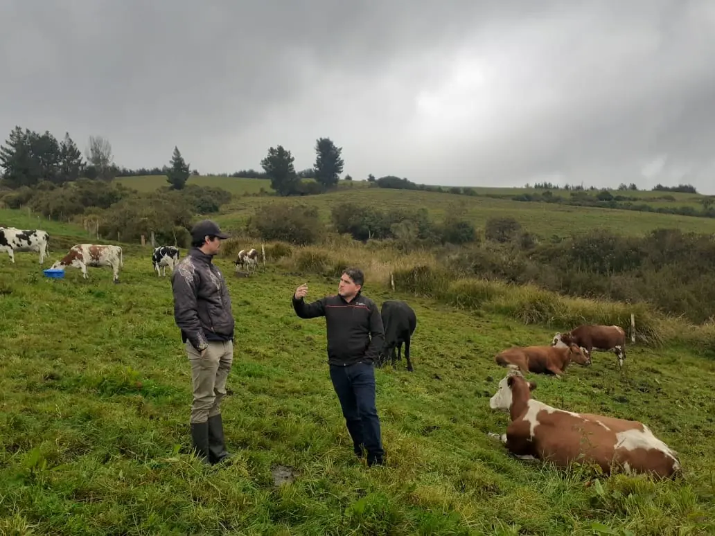Conversación durante una visita de campo junto al ganado